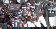 philadelphia eagles football GIF by NFL