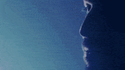 Nationstarac GIF by Star Académie TVA