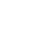 Travel Fly Sticker