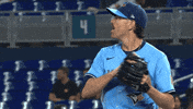 Blue Jays Baseball GIF by Toronto Blue Jays