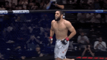 Mixed Martial Arts Sport GIF by UFC