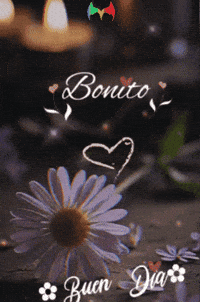 Buen Dia Flores GIF by Murcianys LLC