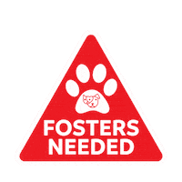 Mhs Foster Dog Sticker by maui humane society