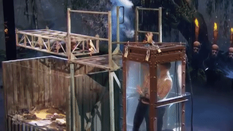 nbc contestants GIF by America's Got Talent