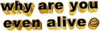 animation why are you even alive Sticker by AnimatedText