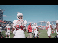 florida atlantic fau football GIF by FAU Athletics