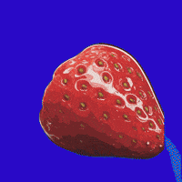 Strawberry Love GIF