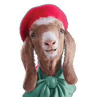 Christmas Sale Sticker by TK Maxx