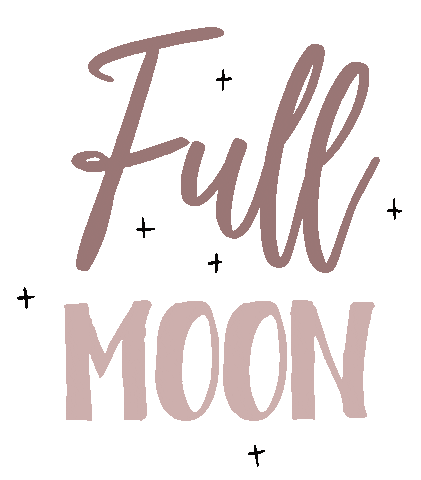 Newmooncollective Sticker