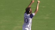 major league soccer GIF by Orlando City SC