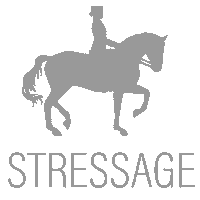 tillymphotography riding equestrian dressage horseriding Sticker