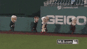 120 GIF by MLB