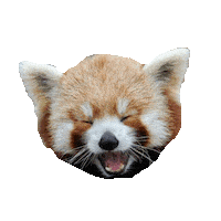 Very Funny Lol Sticker by imoji