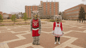 Nc State Wolfpack GIF by NC State University