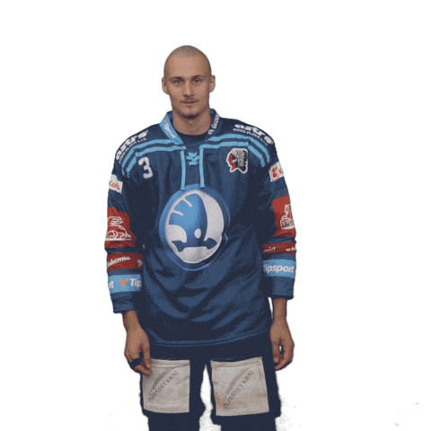 Face To Face Hockey Sticker by HC Škoda Plzeň