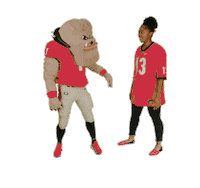 Happy Georgia Bulldogs Sticker by University of Georgia