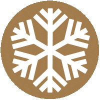 Winter Icons Sticker by gruenerleben
