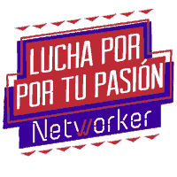 Networker networking networker networkercl networkerchile Sticker