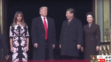 zheng zhi GIF