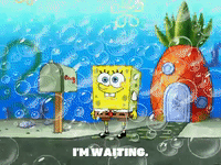 season 5 episode 3 GIF by SpongeBob SquarePants