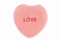 Love Is 4 Chumps