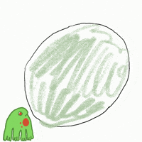Chill Frog GIF