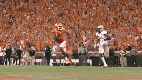 College Football GIF by Clemson Tigers