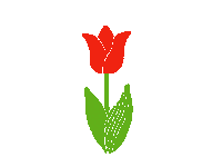 Hana Tulip Sticker