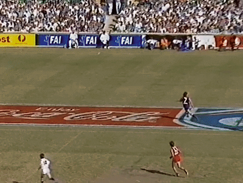 tomfreo giphyupload GIF