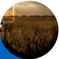 Academia GIF by Stoller Argentina