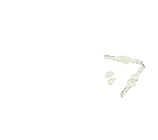 bones triangle Sticker by Peter Bjorn and John