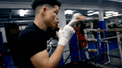 Boxing GIF