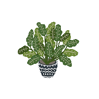 Flower Plant Sticker