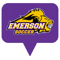 Ncaa Sports Love Sticker by Emerson College Men's Soccer