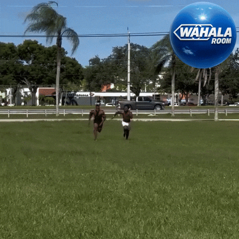 Racing Speed GIF by Wahala Room