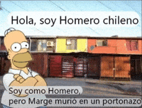 Chile Memes GIF