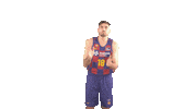 Fc Barcelona Basketball Sticker by ACB