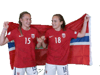 Celebrating Czech Republic Sticker by Norges Fotballforbund