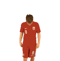 Sport Cant Hear You Sticker by Norges Fotballforbund