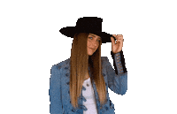 alliwalker hello singer hat nod Sticker