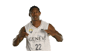 Basketball Basket Sticker by Lions de Genève