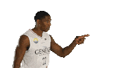 Basketball Basket Sticker by Lions de Genève