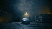 now that i found you cat GIF by Carly Rae Jepsen