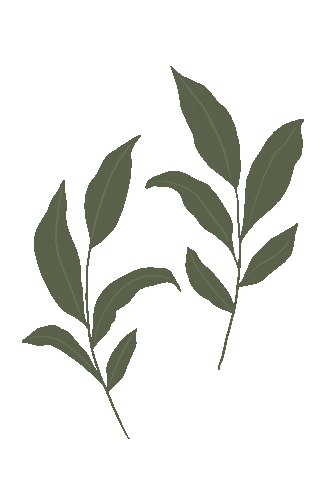 Leaf Sticker