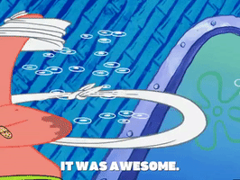 season 6 GIF by SpongeBob SquarePants