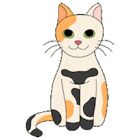Farinity cat cute farinity Sticker