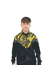 Bvb Sticker by Borussia Dortmund