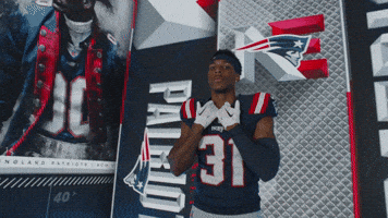 Football Nfl GIF by New England Patriots