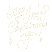 Merry Christmas Sticker by annemariecst