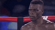 toprank fight boxing fighting espn GIF